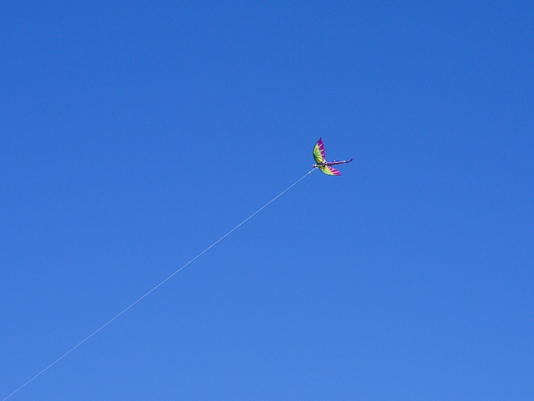 march 2011 dragon kite blue skies